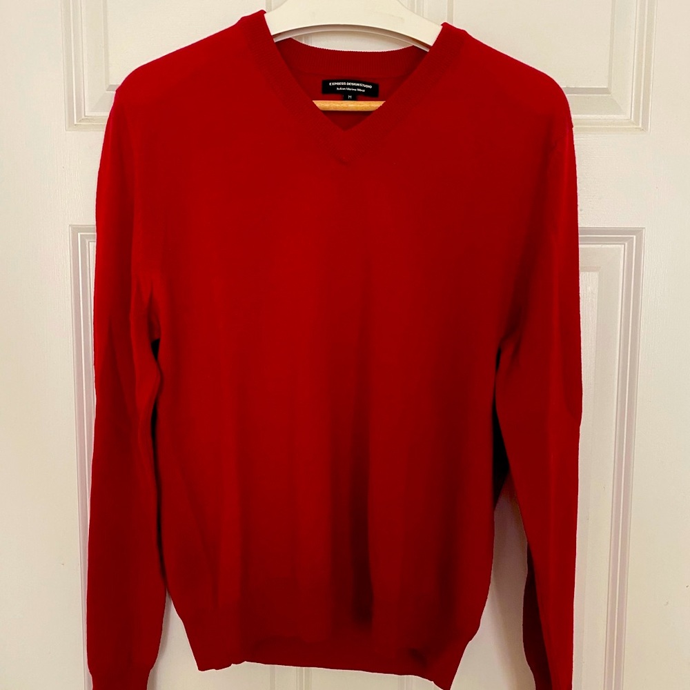 Express Merino Wool V-Neck Sweater